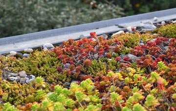 the cost of Thorpe End green roof installation