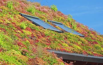 Thorpe End living roof systems
