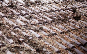 Thorpe End roof cleaning companies