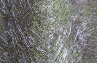 Thorpe End fibreglass roof work